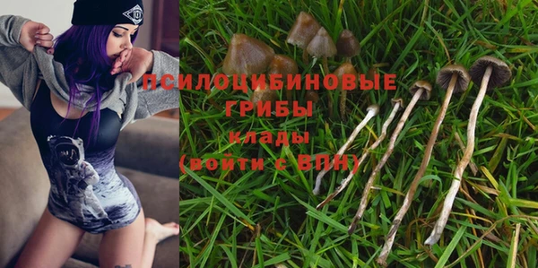 а пвп мука Лиски