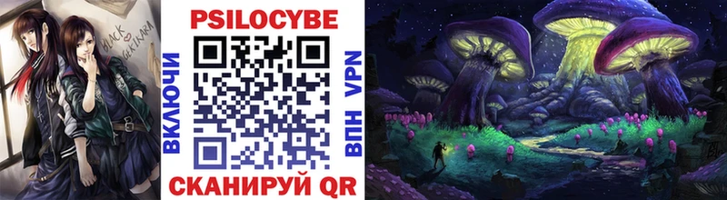 Псилоцибиновые грибы Cubensis  Купить где  Искитим 